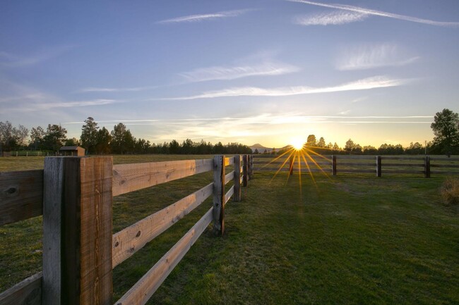 Building Photo - One of a kind, Magnificent Ranch Estate Pr...