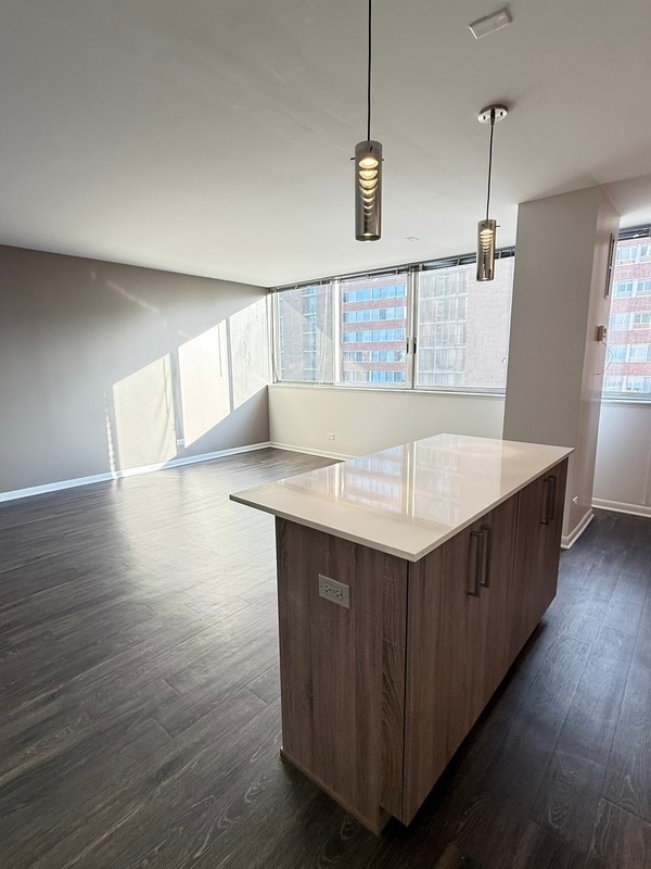 Building Photo - 1511 S Laflin St