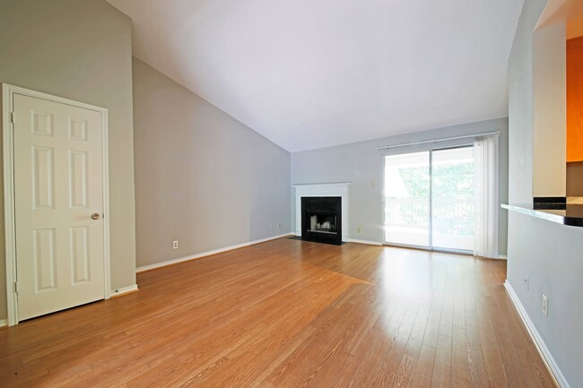 Building Photo - Updated top floor 2br with vaulted ceilings, two balconies and treed views!