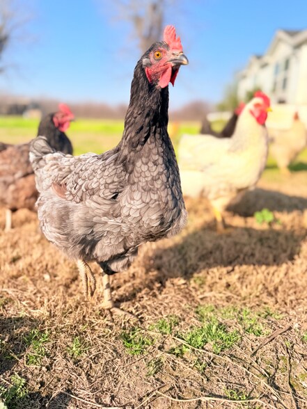 Building Photo - 14621 16th Ave