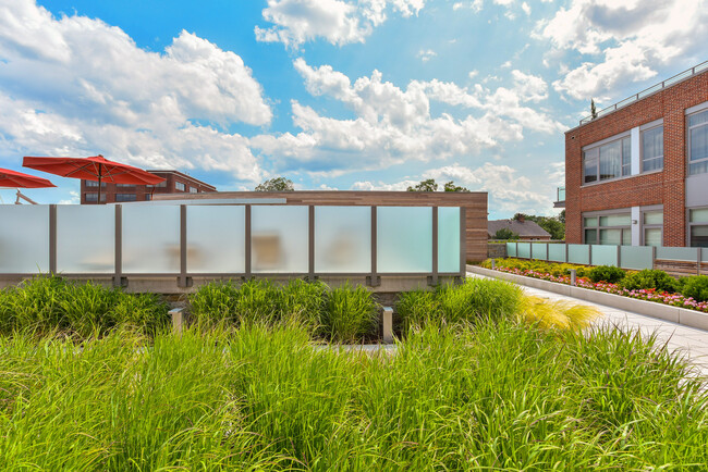 Courtyard path to pool - 601 N Fairfax St