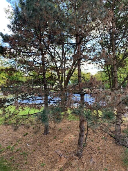 View from balcony - 405 S Creekside Dr