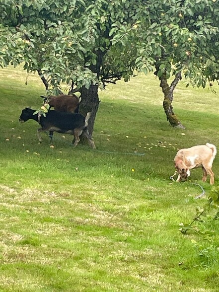 Building Photo - 9600 116th St NE