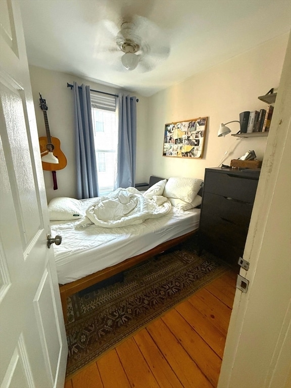 Building Photo - 3 Paige Ave