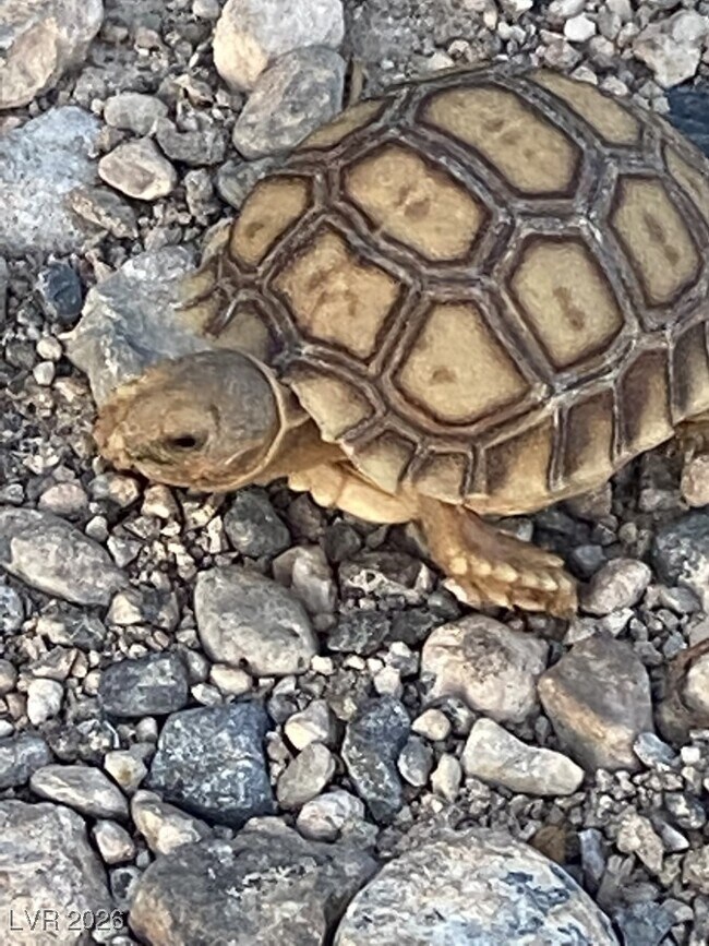 Building Photo - 481 Benedict Dr