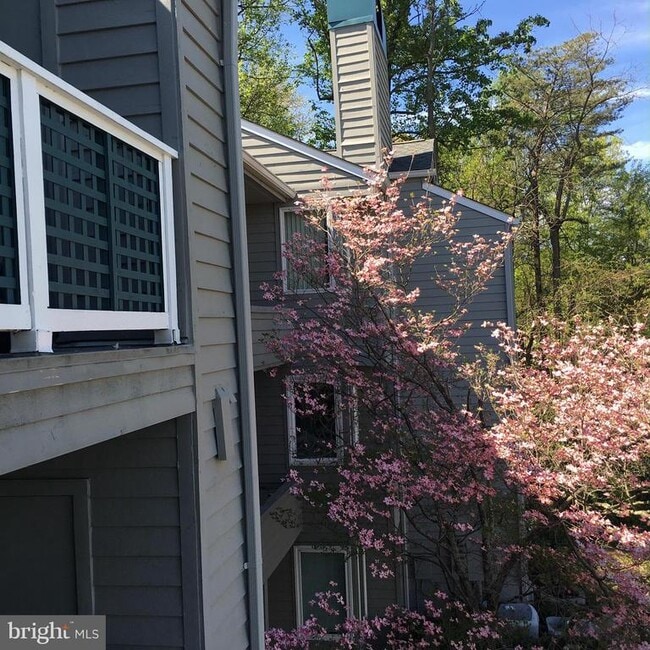 Building Photo - 11703 Summerchase Cir