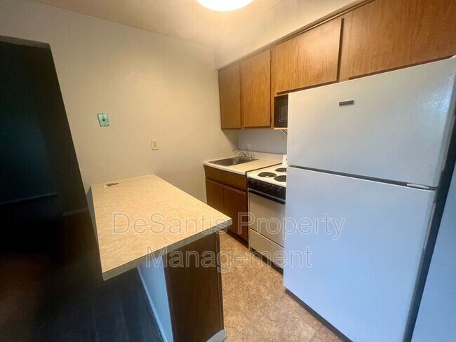 Building Photo - 215 Lunar Ln