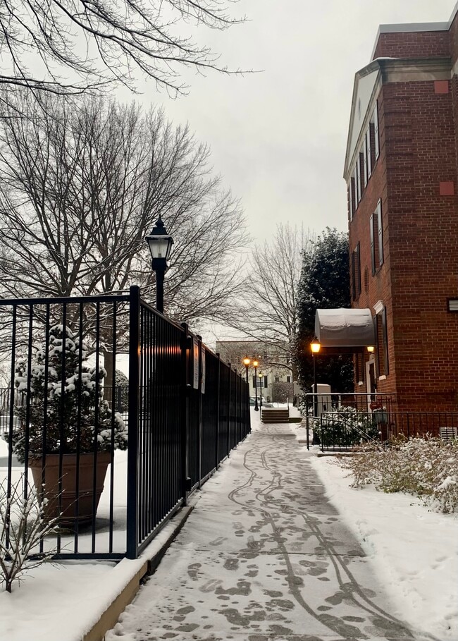 Building Walkway-Winter - 504 Bashford Ln