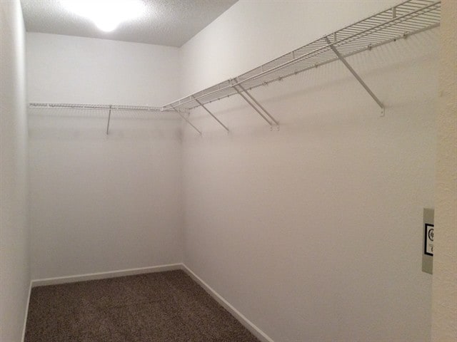 Building Photo - 1281 Rosemary Ct