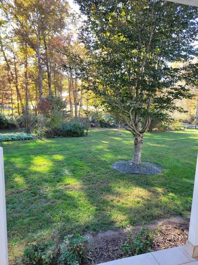 Building Photo - 71 Crest Cir