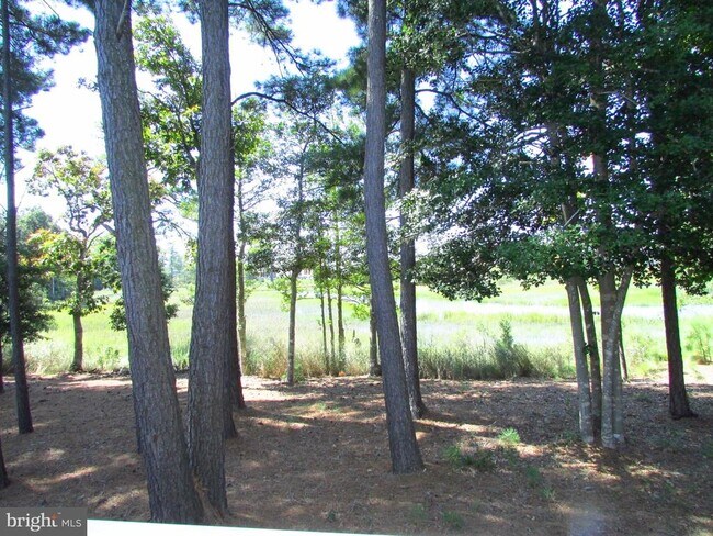 Building Photo - 30671 Kingbird Ct