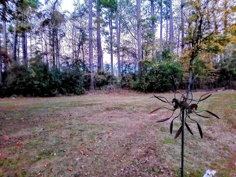 Building Photo - 2FS Road 214 Rd