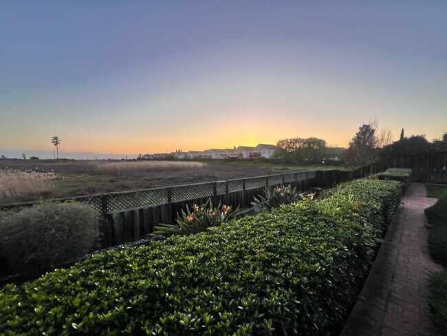 Building Photo - $500 OFF FIRST MONTH'S RENT!!!  BEAUTIFUL TWO LEVEL 3BD/3BA HOME AVAILABLE IN NEWARK, CA !!!!!!