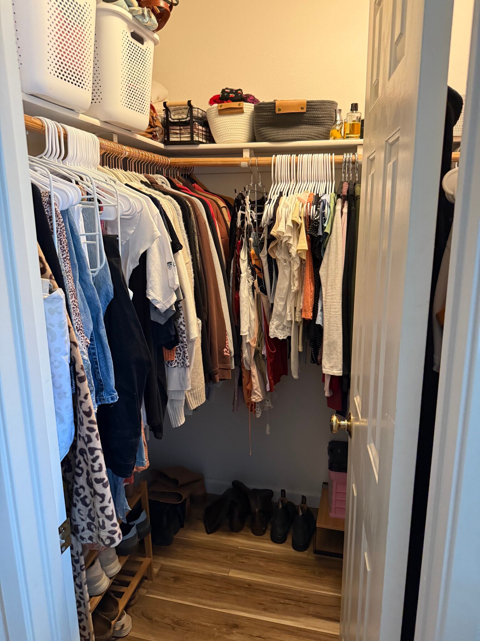 Building Photo - 3190 Camellia Ct