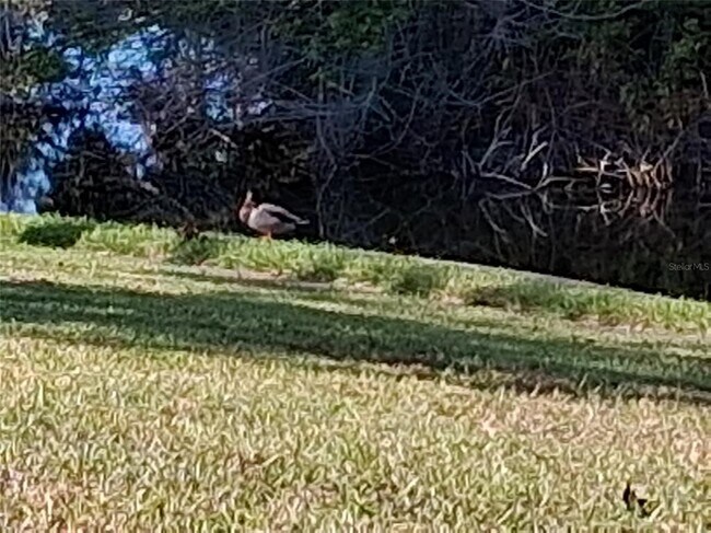 Building Photo - 7737 Eureka Dr