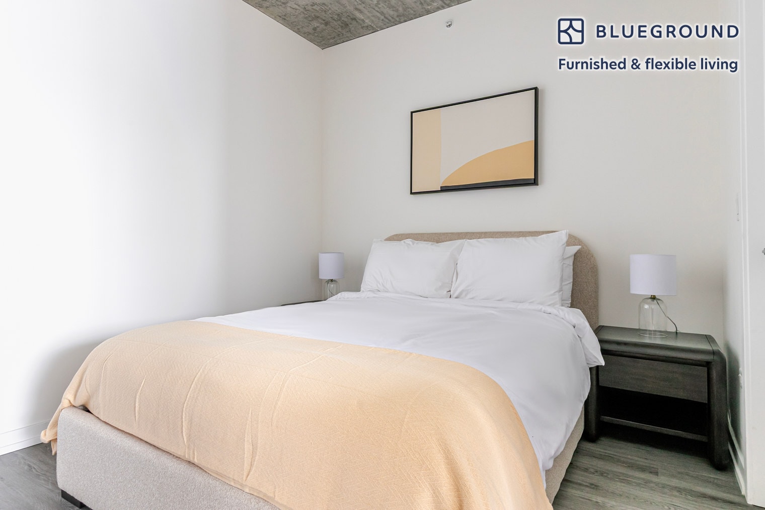 Building Photo - 460 W Chicago Ave