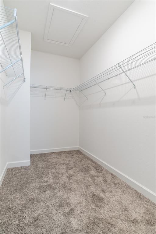 Building Photo - 12480 Turtle Grass Dr