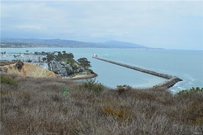 Building Photo - 33938 Alcazar Dr