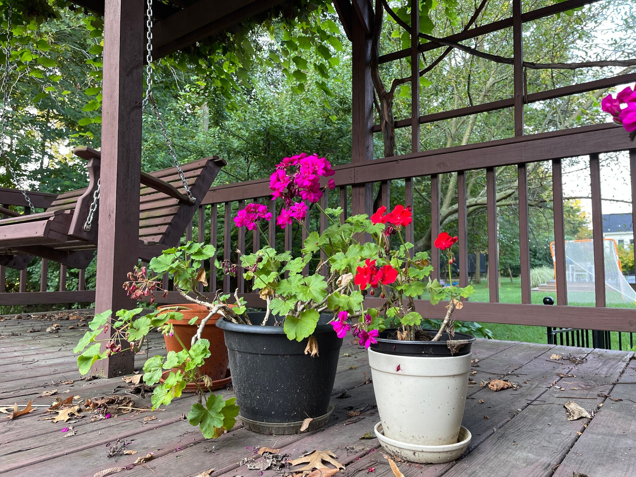 Building Photo - 6041 Holywell Dr