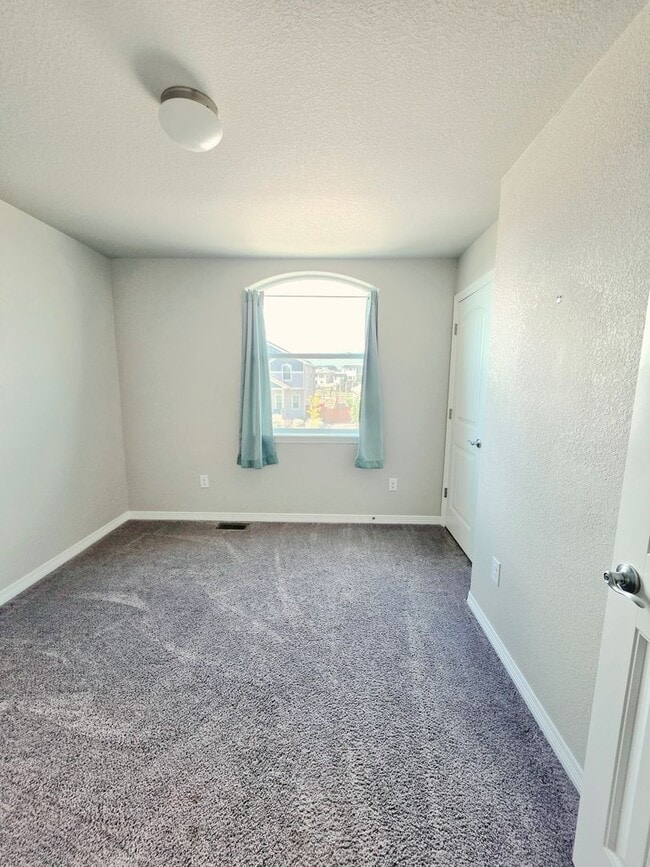 Building Photo - Beautiful 4 Bedroom Home in Peyton