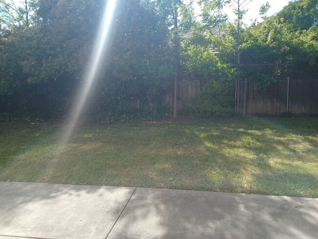 Building Photo - Summerfield Subdivision.