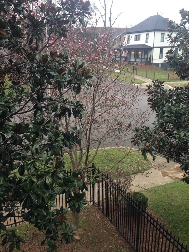 View from front porch. - 5000 Park Ave