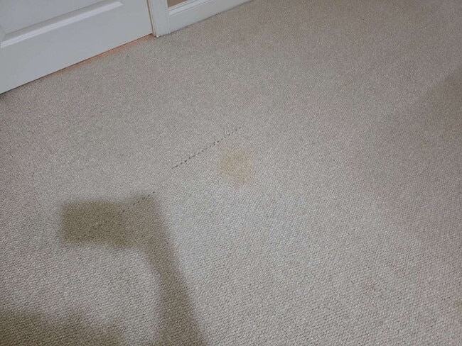 Building Photo - Spacious 4-Bedroom Home for Rent in Kings ...