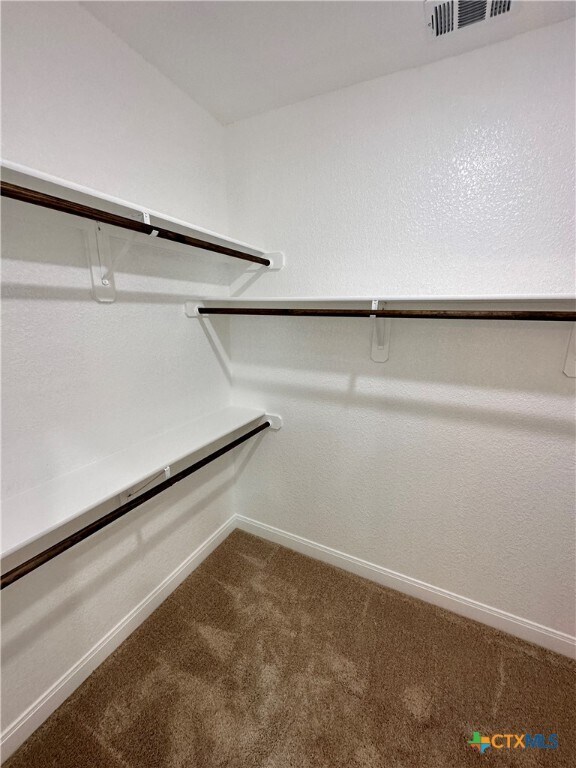 Building Photo - 1611 Sideoats Ln