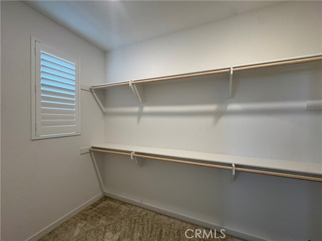 Building Photo - 7018 Aloe Ln