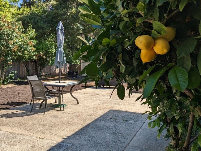 Building Photo - Cozy Carmel Valley Village House Fully Furnished