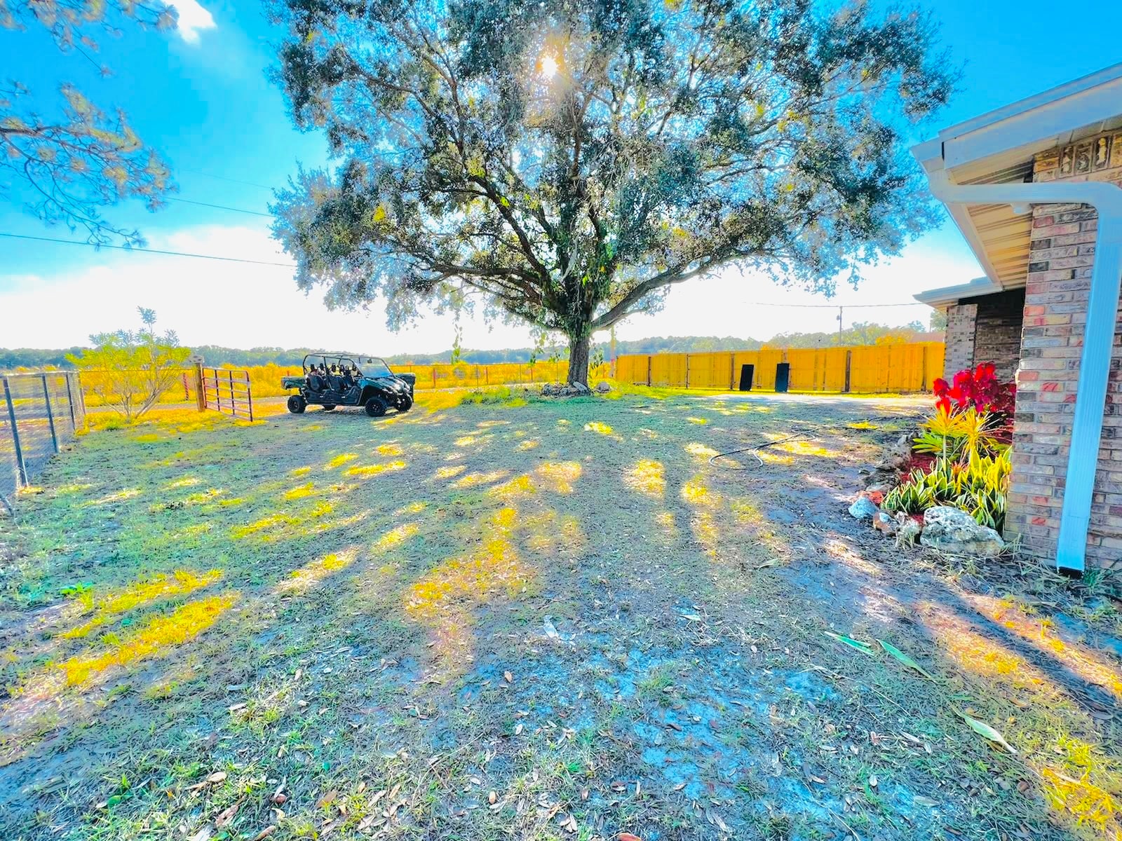 Front yard view - 1817 Demastus Ln
