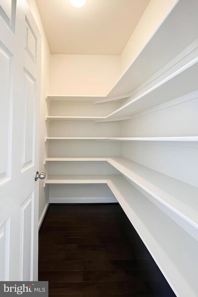 Building Photo - 21493 Willow Breeze Sq