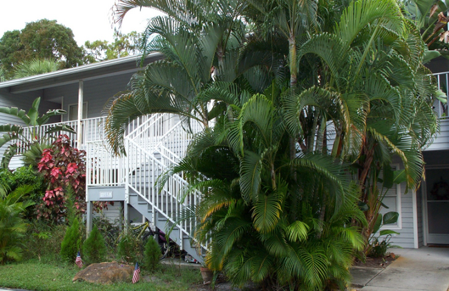 Primary Photo - 1885 Courtyard Way