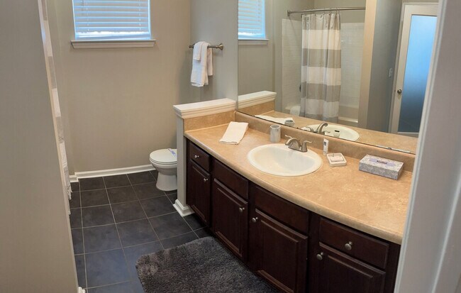 Building Photo - 1397 Lettered Olive Ln