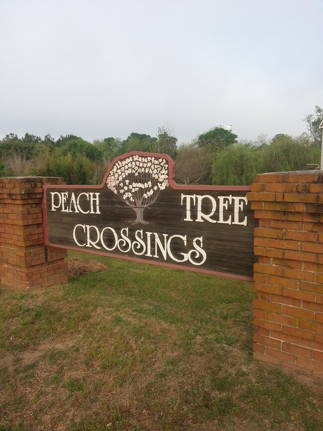 Peachtree Crossings Apartments 107 Church St Byron GA 31008