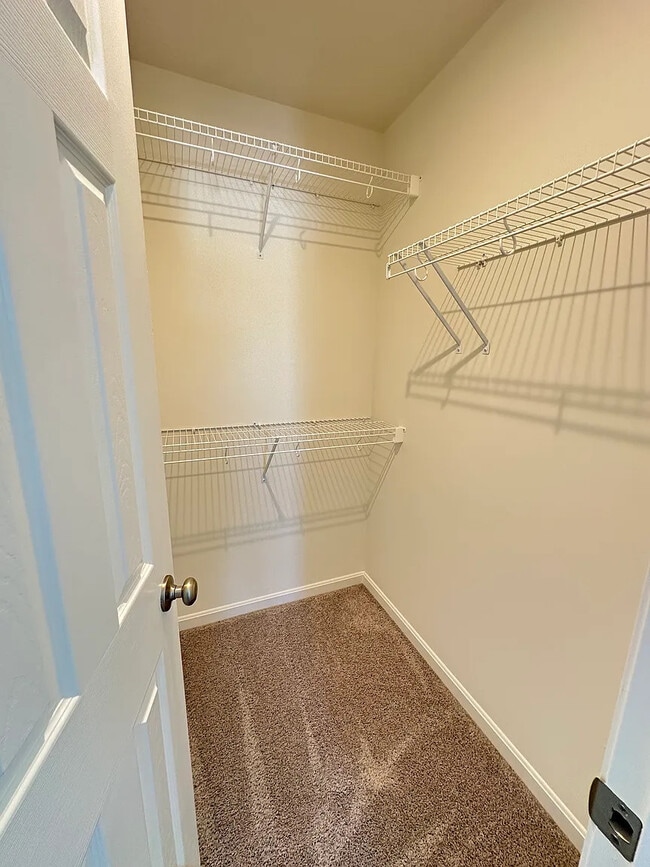 Building Photo - 2091 Wild Berry Wy