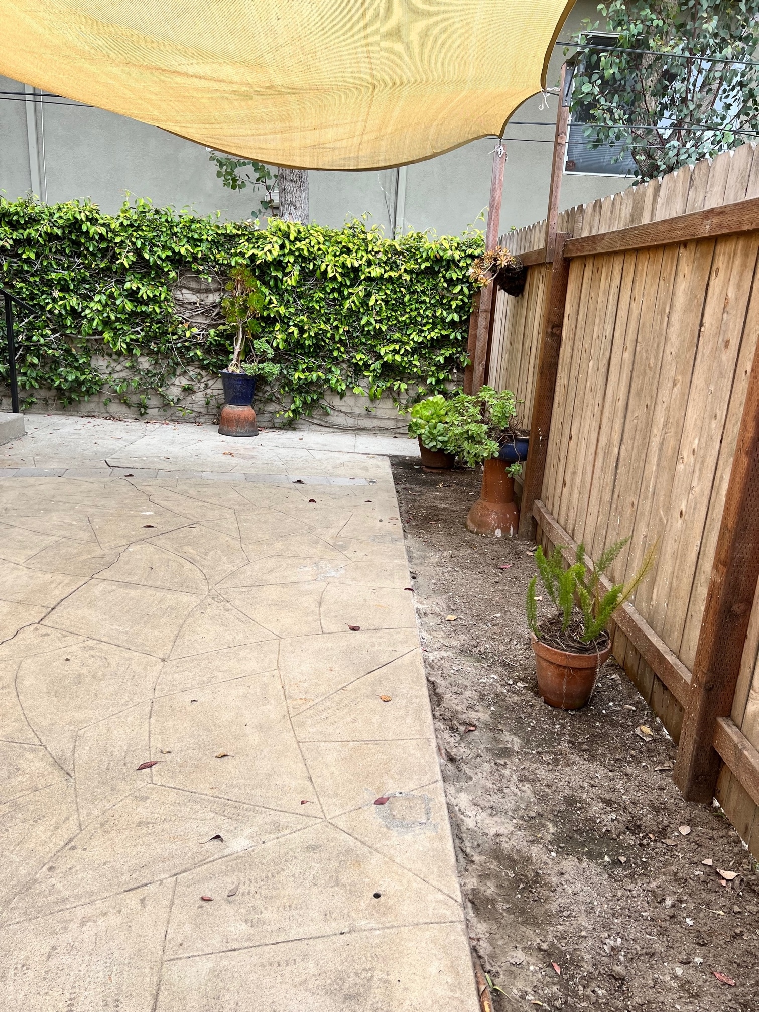 Building Photo - 648 Rose Ave