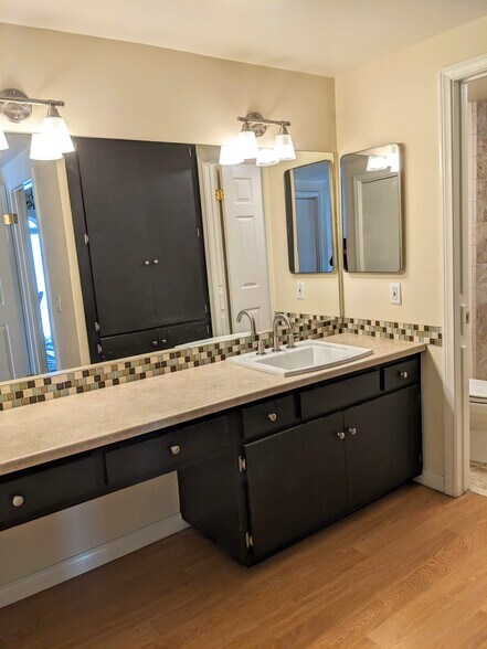 Primary Bath Vanity - 972 Woodlawn Dr