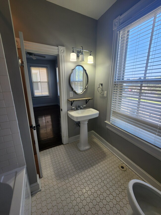 Building Photo - 436 Dinwiddie St