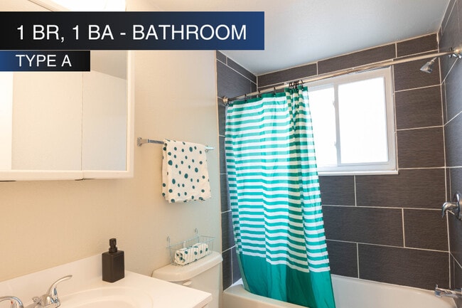 1 BR, 1 BA - Bathroom (Type A) - Roman Villa Apartments