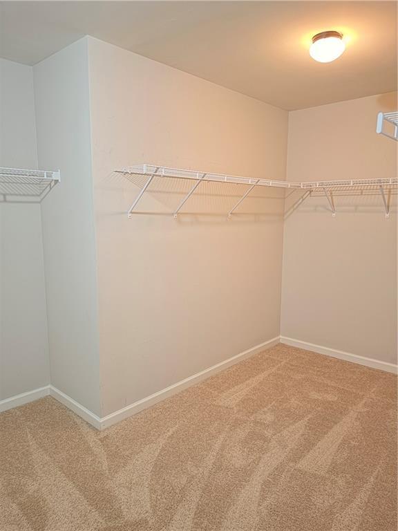 Building Photo - 559 Madison Park