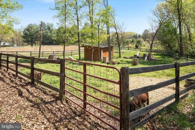 Building Photo - 716 Gafia Lodge Rd