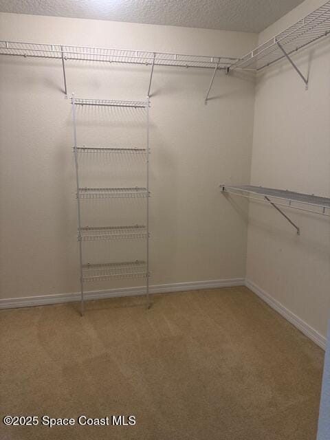 Building Photo - 3667 Sawgrass Dr