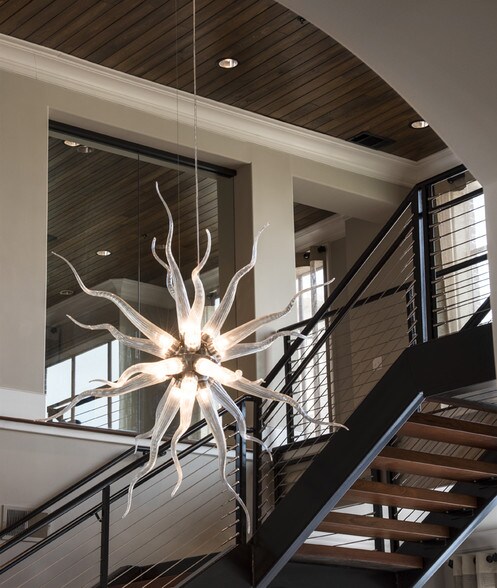 heights park row houston tx apartment finder