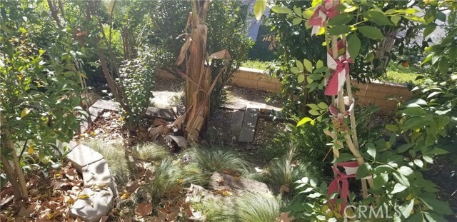 Building Photo - 2638 Mangrove Way