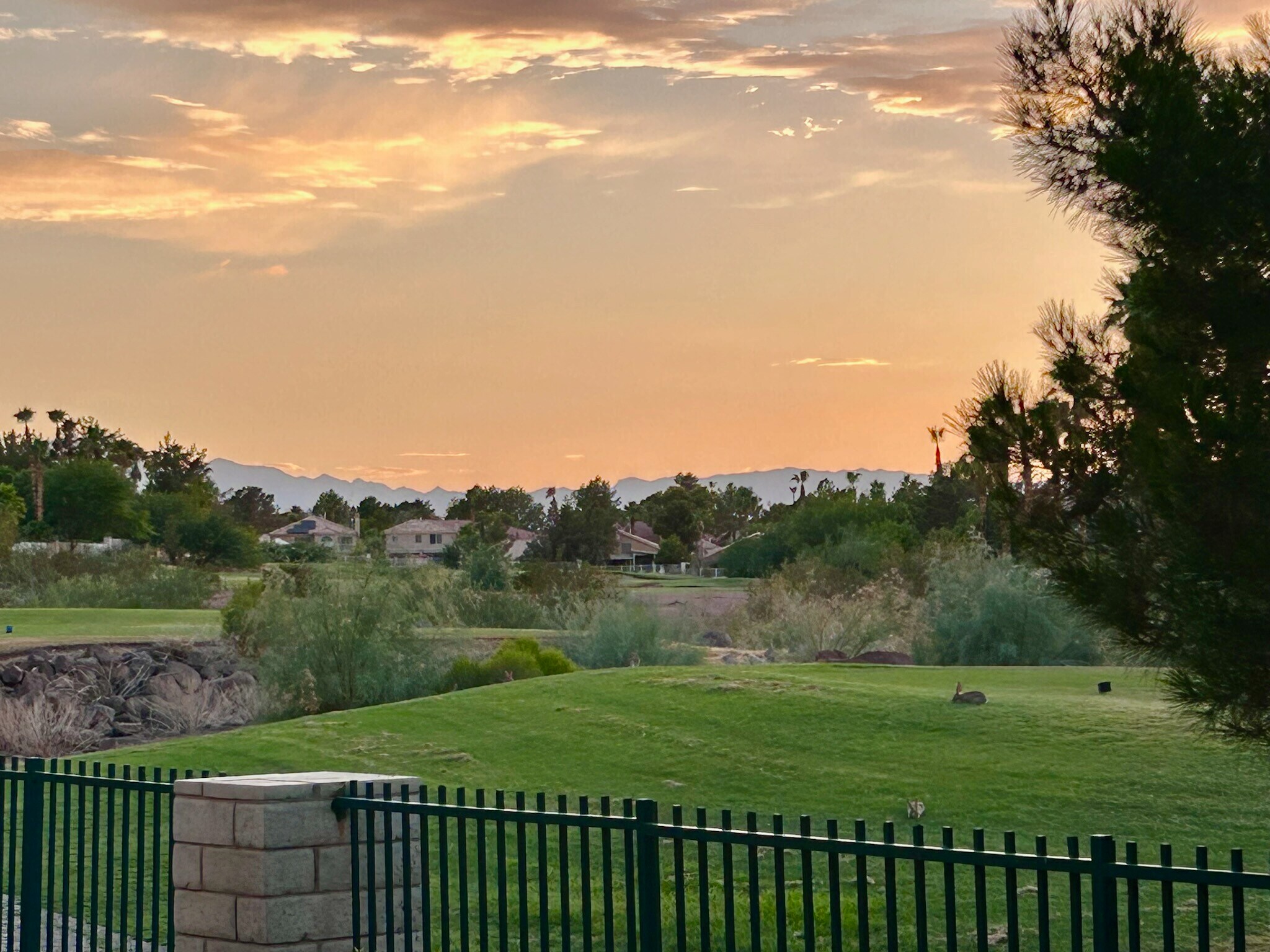 View from unit - 2251 Wigwam Pky