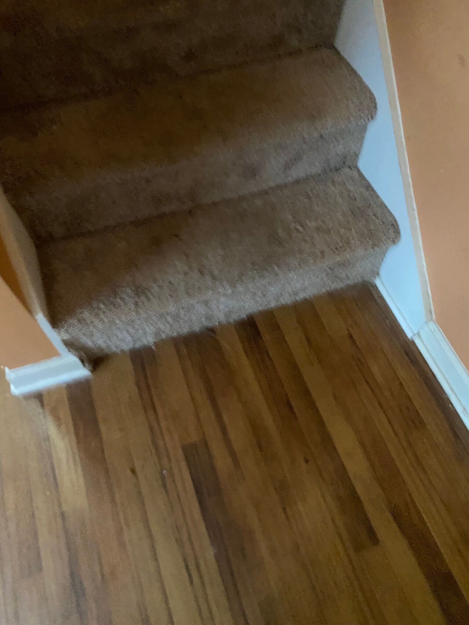 Building Photo - 6544 Wellington Chase Ct