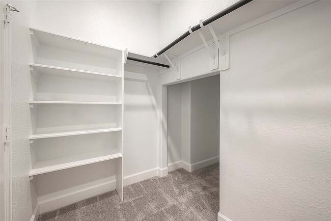 Building Photo - 5139 Albany Shores Ln