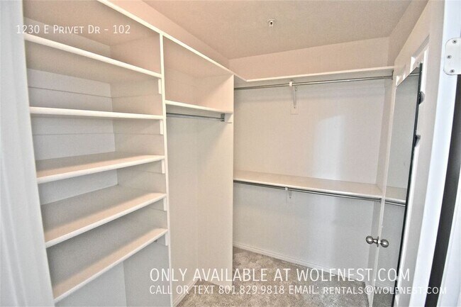 Building Photo - 1230 Privet Dr