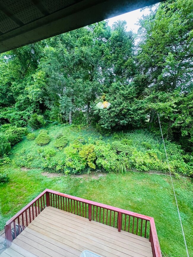 Building Photo - 61 Sandy Brook Dr
